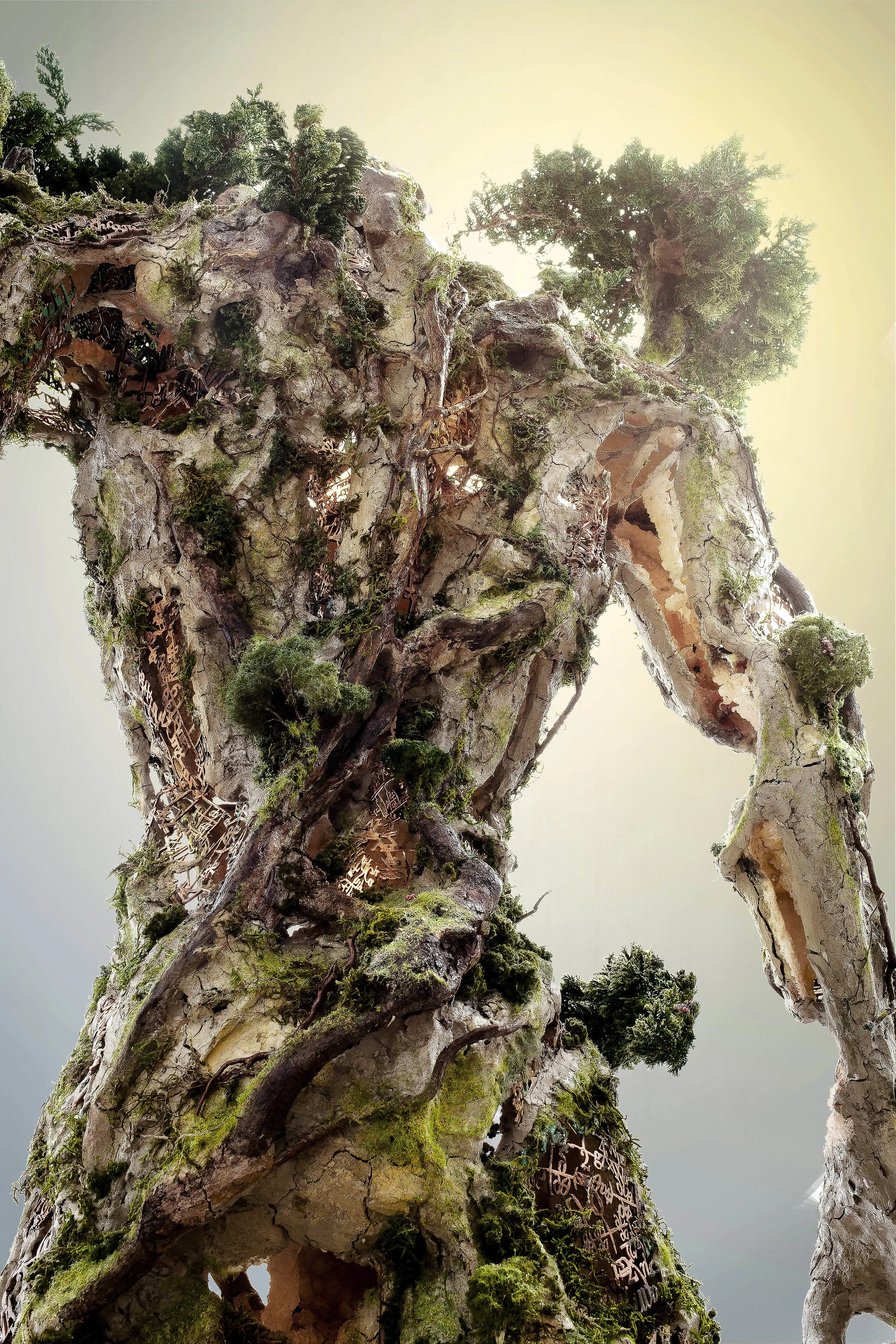 LightMedium1 copy.jpg