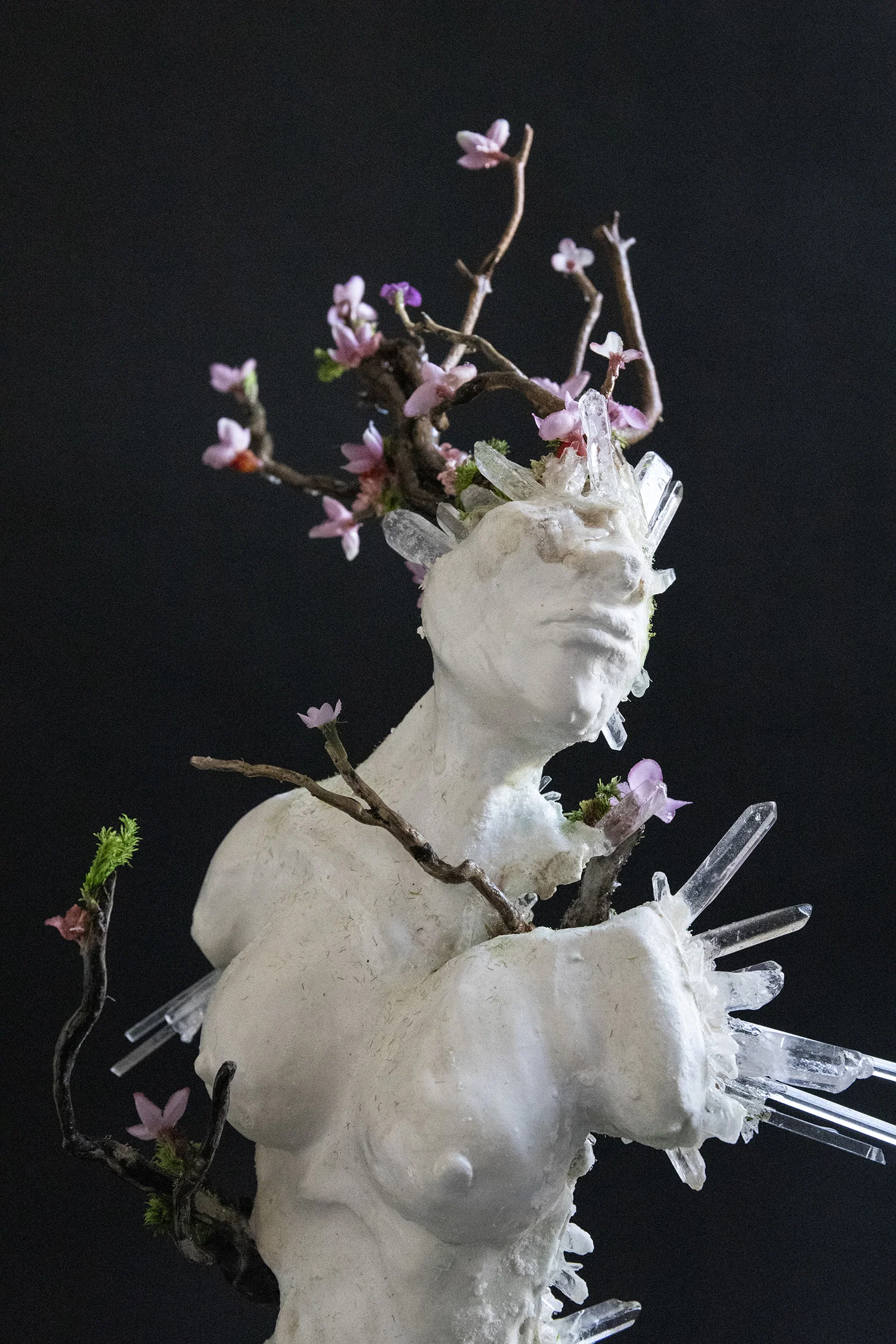 FrontTight2 copy.jpg