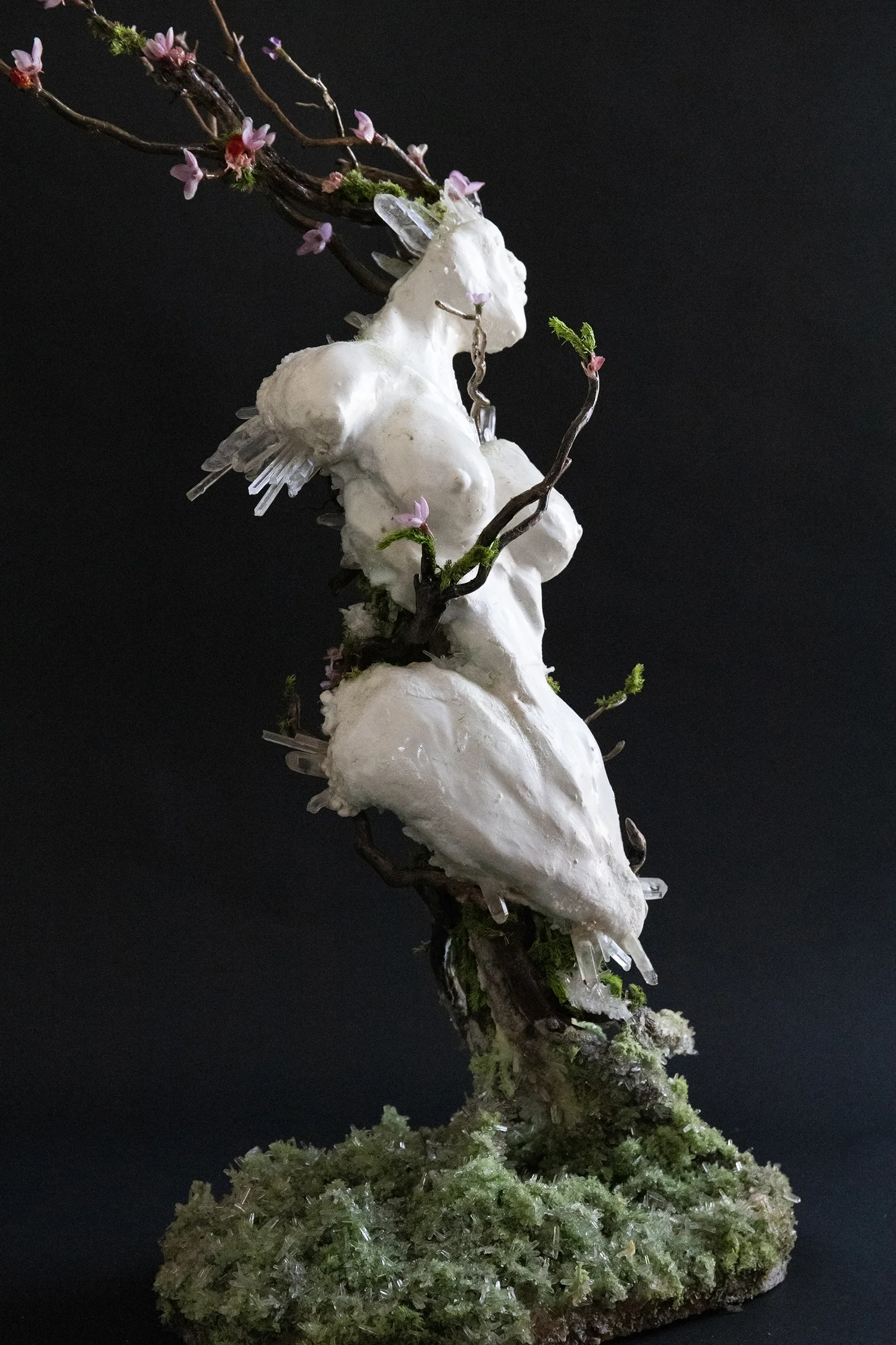 FrontMedium1 copy.jpg