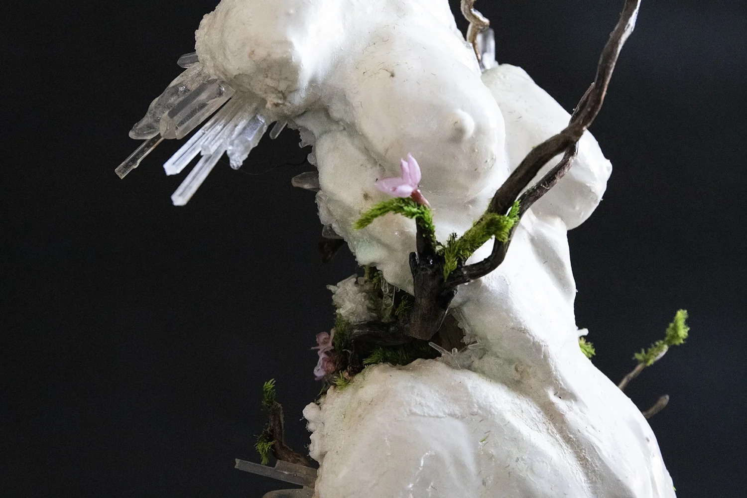 FrontTight1 copy.jpg