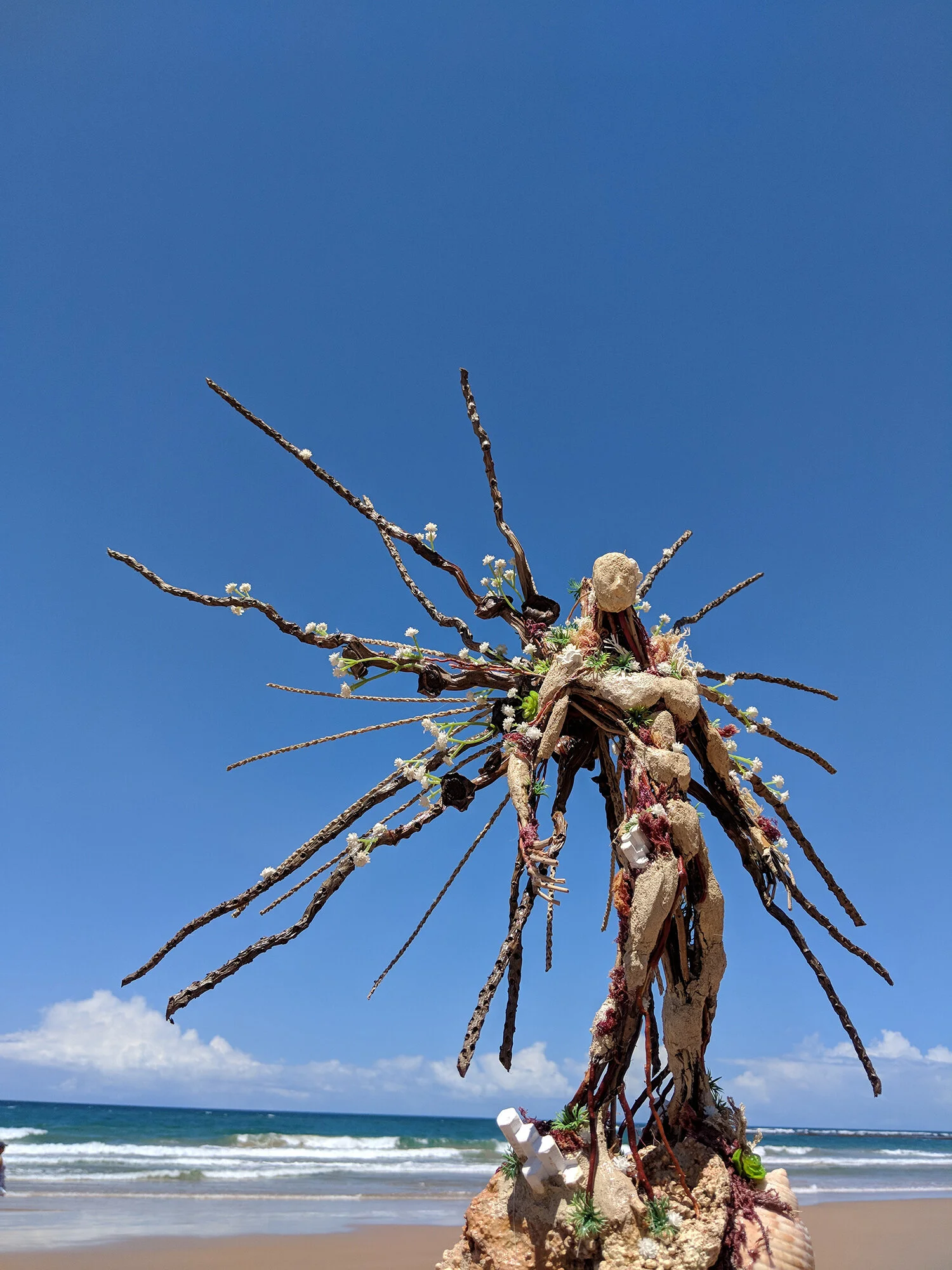 Protetor Dos Corais 6 copy.jpg