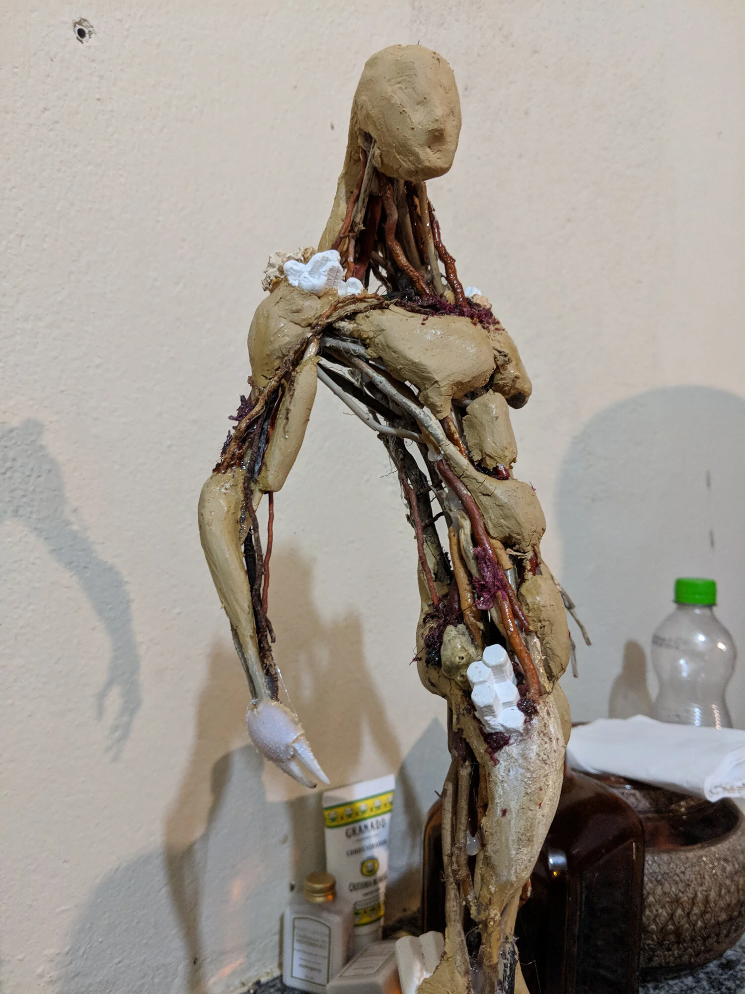 Protetor Dos Corais 7 copy.jpg