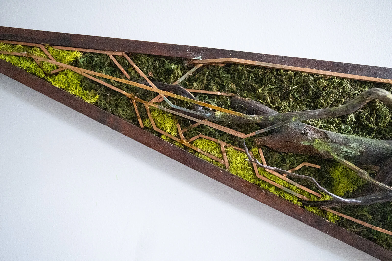 Symbiotic3a copy.jpg