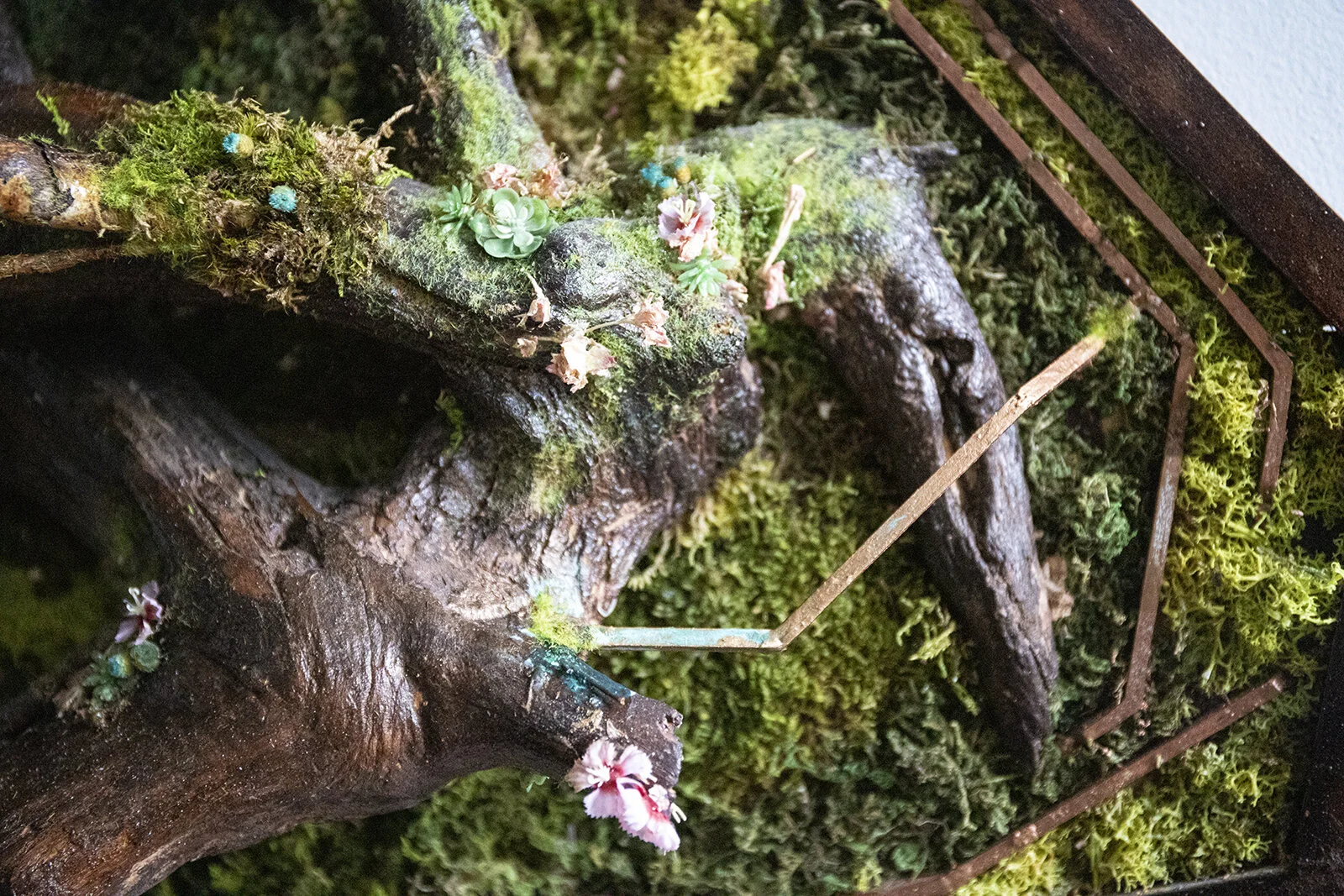 Symbiotic2b copy.jpg