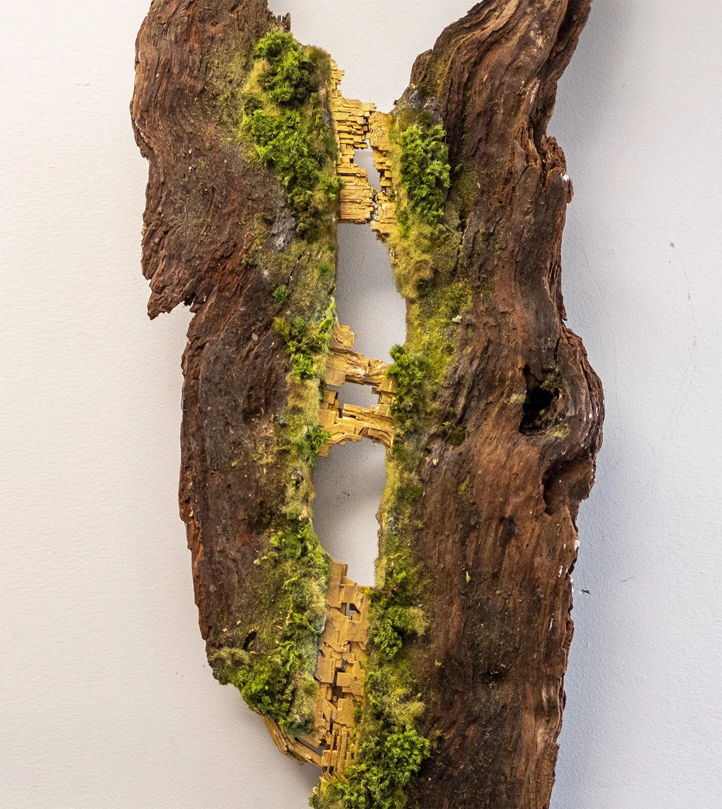 neogrowthflat2 copy.jpg