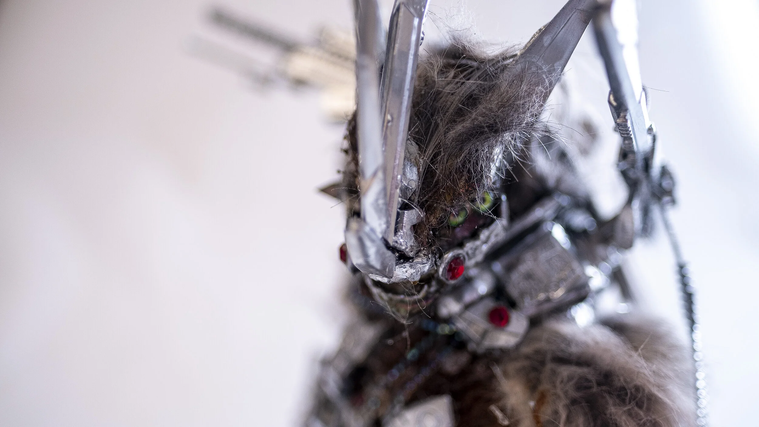 ChimeraFutureWolf7 copy.jpg